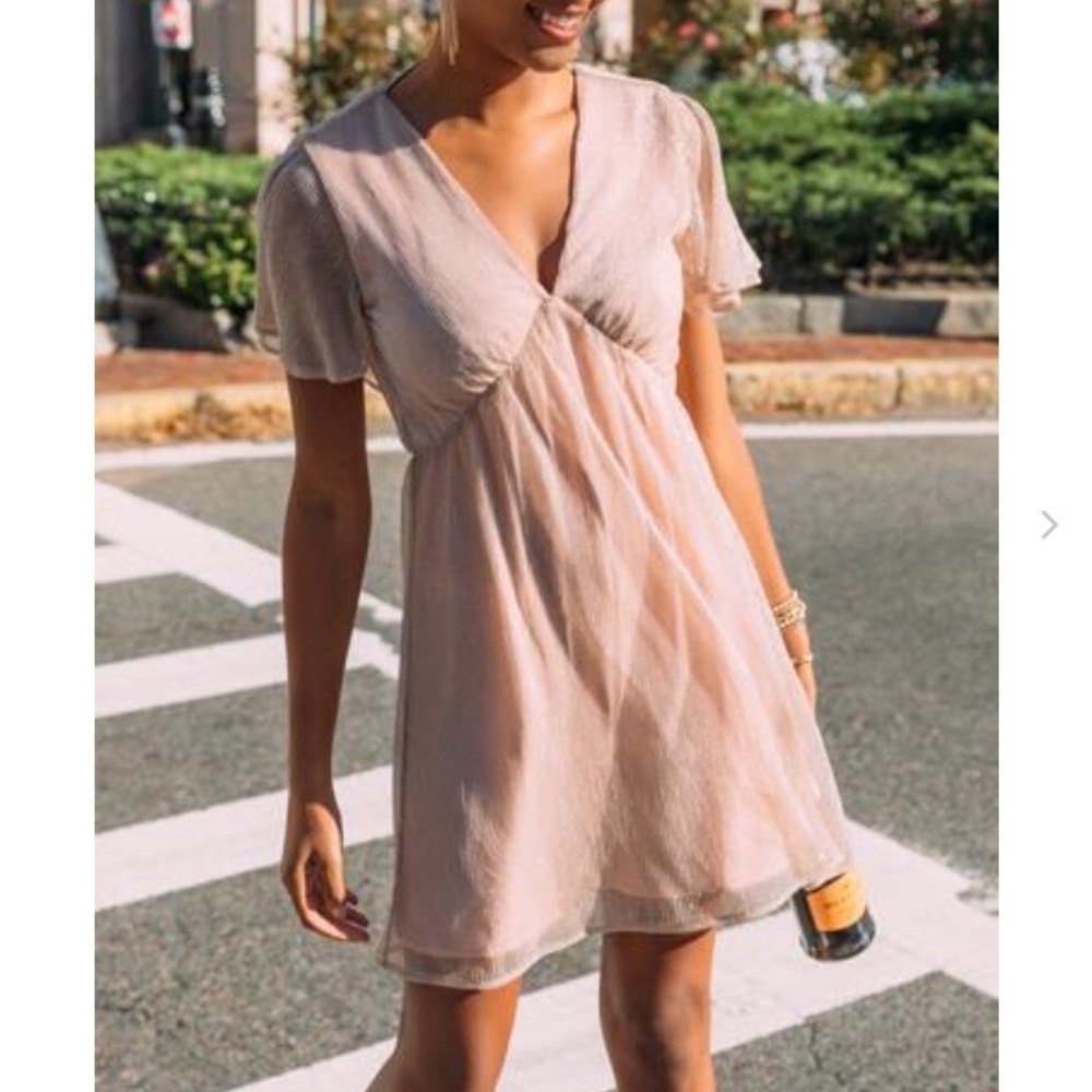 Francesca’s Addison Shine Mini Dress (size S)